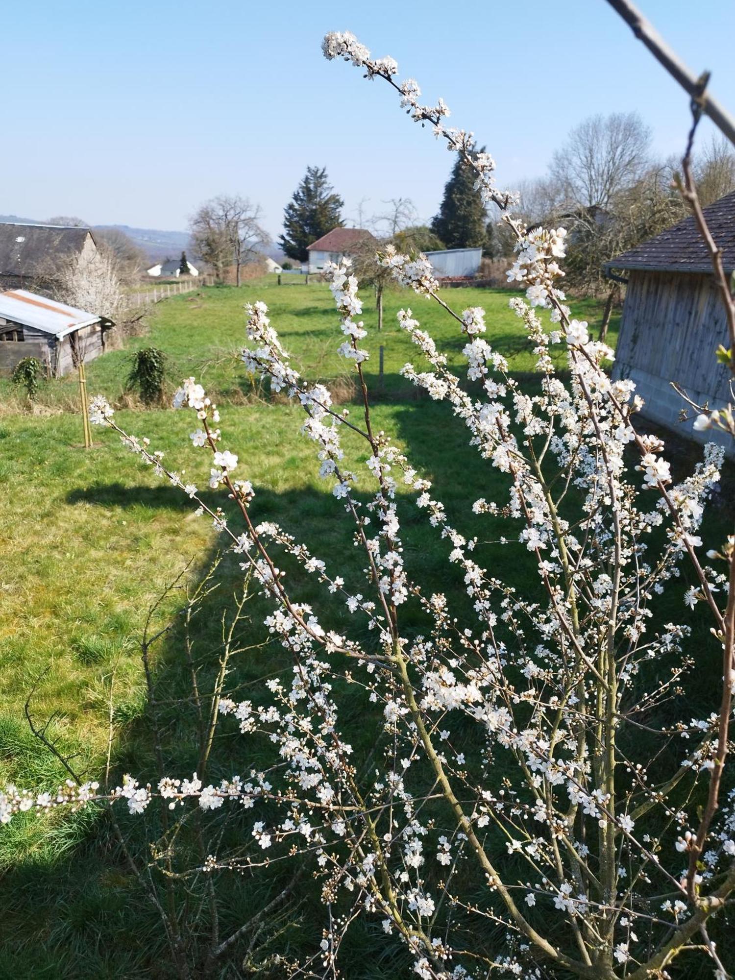 Chalet Des Roches Roche D'Oetre Suisse Normande Saint-Philbert-sur-Orne Εξωτερικό φωτογραφία